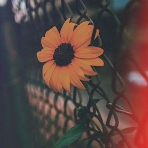 Meet your Posher, Katelyn